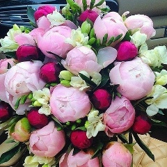 Арайлым Айткулова, 21.07, Тараз