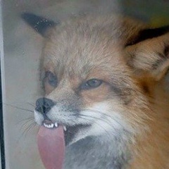 Ольга Приходько, 13.02.1982, Санкт-Петербург