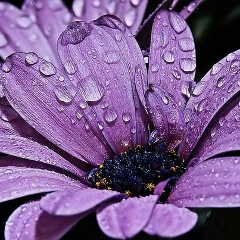 Каженова Жанаргуль, 20.02.1992, Астана