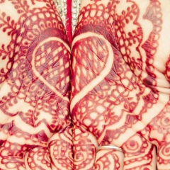 Рената Габдуллина, 18.11, Москва