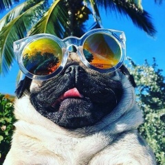 Илья Павлов, 04.08.1986, Челябинск