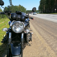 Алексей Светлов, 02.12