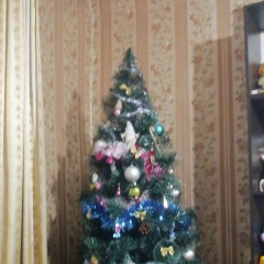 Адрей Андреевич