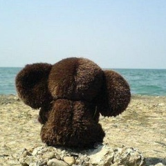 Лена Мацидонская, 14.08, Киев