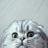 Мария Остякова, 23.05.1998, Печенга