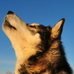 Кирилл Киняев, 13.03.1987, Пенза