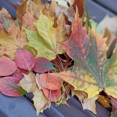 Анастасия Иванова, 05.06, Москва