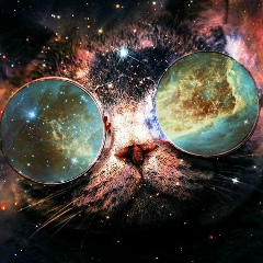 Саня Крайнов, 24.01.1987, Москва