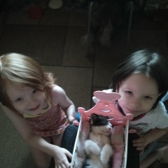 Александр Упадышев, 02.02.1987, Череповец