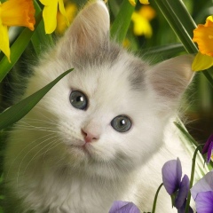 Ксюша Федюненская, 26.01, Шадринск