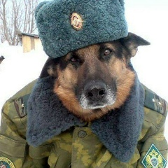 Виталий Варыгин, 28.07, Актобе