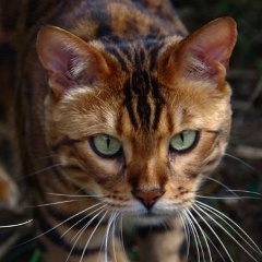 Марина Ланская, 04.12, Уфа