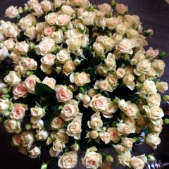 Тома Лысая, 28.06.1989