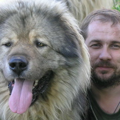 Андрей Столяр