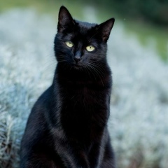 Наталья Захарова, 18.02.1905