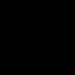 Жаке Ж, Алматы