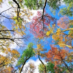 Ирина Сокова, 04.06.1986, Красногорск