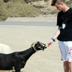 Stepik Gavrilov, 15.02.1991, Санкт-Петербург