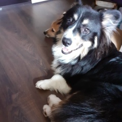 Павел Карасев, 11.02, Поти