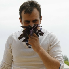 Ара Акобян, Ереван