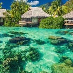 Евгения Горбачева, 14.08, Новосибирск