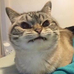 Аня Рахманина, 29.10, Актау