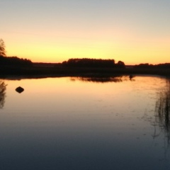 Фаиль Фасахов, 12.01, Санкт-Петербург