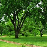 Алексей Маруда, Новосибирск