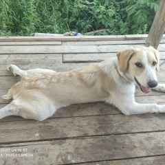 Виталий Михайлов