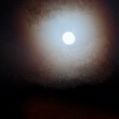 Андрей Муралев, Киров