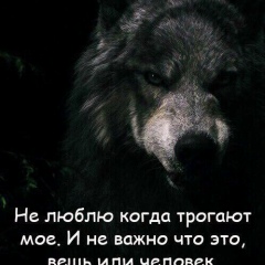 Али Алиев, 12.04.1982