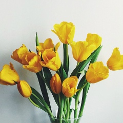 Анна Тарасюк, 20.01.1994, Ровно