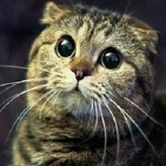 Виталий Панасюк, 22.05, Рязань