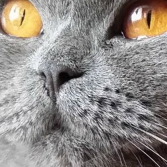 Александр Плисецкий, 05.02, Уфа