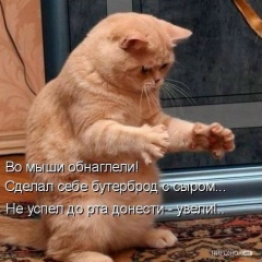 Владислав Клюкман, 06.11.1982