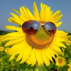 Наталья Рубахина, 20.04.1986, Москва