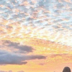 Мадина Дадаева, Грозный