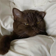 Екатерина Тимофеева, 06.10