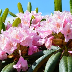 Мария Каплунова, 06.08.1982, Санкт-Петербург