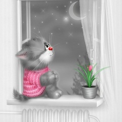 Таня Ваховська, 07.10, Киев