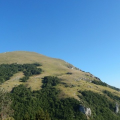 Полина Мартынова, 04.01.1988