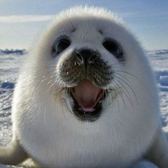 Данил Кулаков, 29.09.1985, Тюмень