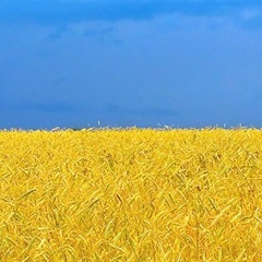 Dima Kolosovskiy, 14.03.1987, Николаев