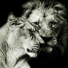 Александр Саковский, 17.01.1994, Москва