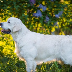 Алекс Maver, Москва