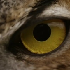 Гуля Джабакова, 23.02.1969, Шымкент