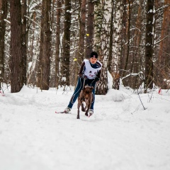 Елена Борисова, Новосибирск