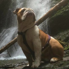 Саша Хмурый, Белая Холуница