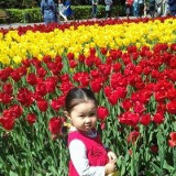 Шолпан Туякбаева, Алматы