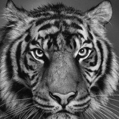 Петр Коноплин, Екатеринбург